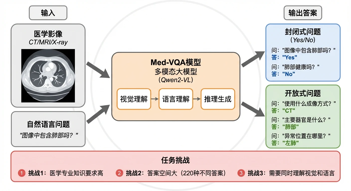 多模态大模型医学影像问答项目预览